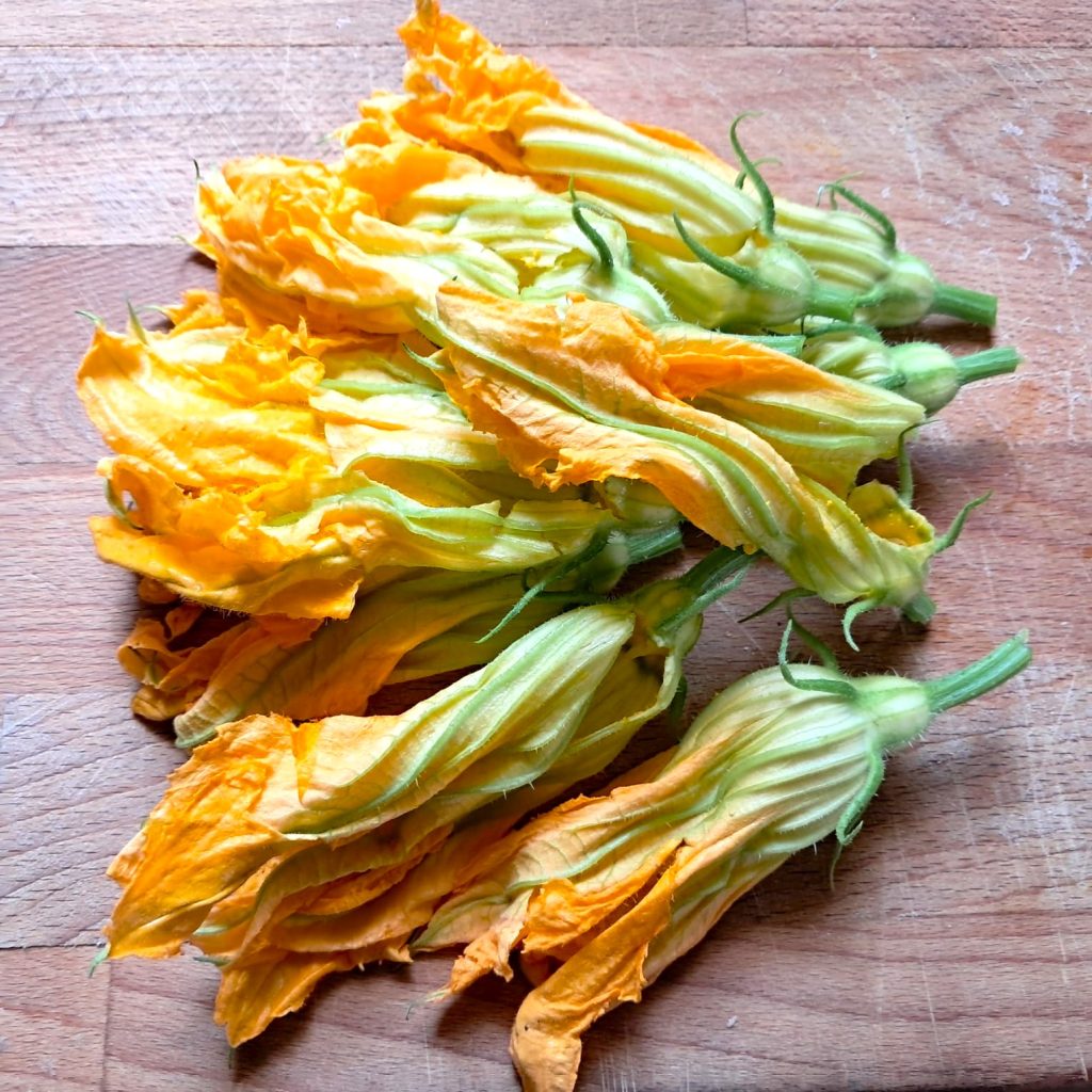 Fiori di Zucca fritti